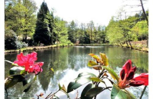 Chalet au bord de l’eau - Foto 13