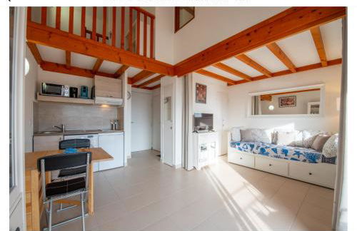 Superbe appartement T1 duplex,vue mer - Foto 12