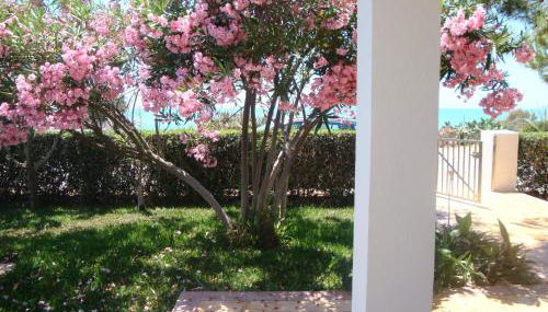 Cala Vigliena Il Sole Negli Occhi - Foto 5, Garden