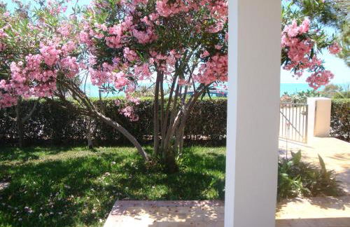 Cala Vigliena Il Sole Negli Occhi - Foto 5