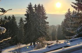 Ferienwohnung Hauptmann - Foto 41