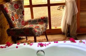 Figueira do Rio do Boi Com Hidromassagem - Foto 1