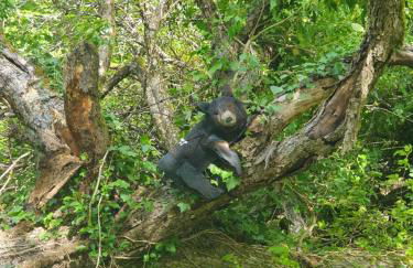 Wünschel Stube - Foto 30