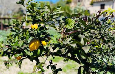 Ses Cases d'Alcudiola - Foto 60