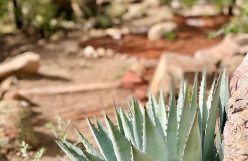 Eagles Nest Casita Luxury king memory foam bed feather pillows & duvet Amazing views, private balcony, Great location & Dog friendly - Foto 73