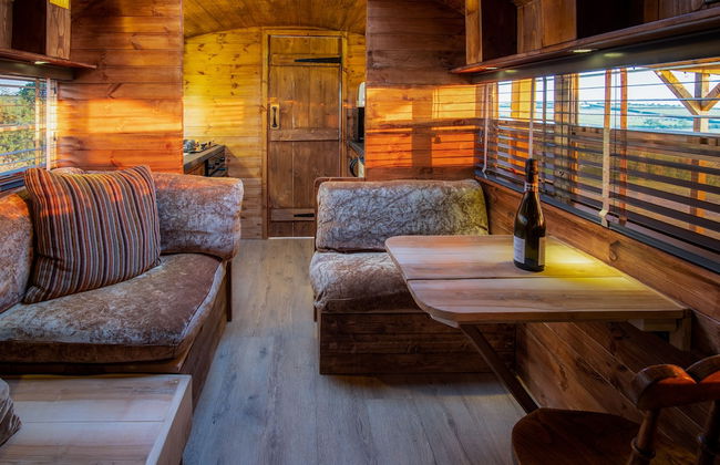 American School Bus - Blossom Farm - Foto 14