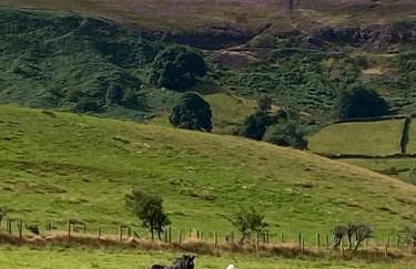 Craven Garth Cottages - Foto 16