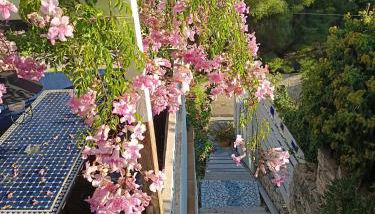 Studio indépendant terrasse entre mer et collines - Foto 3, Garden view