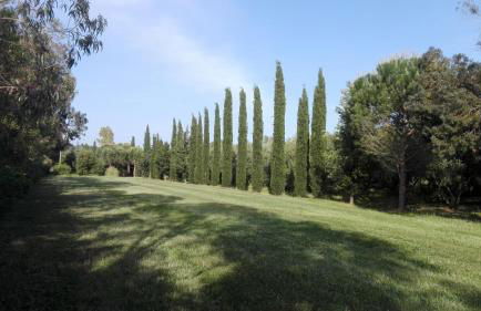 Agriturismo Il Riccio - Foto 11