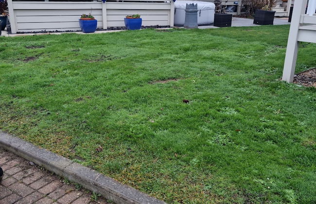 Cosy Static Caravan on East Mersea Island - Foto 34