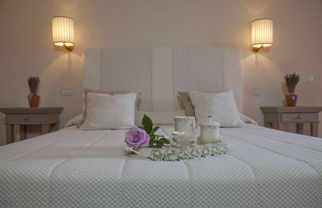 Castello Vicchiomaggio - Photo 15