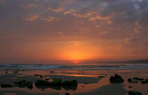 Panoramic Sea & Picos Europa view - Foto 27