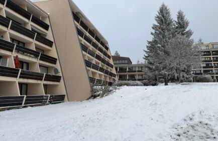 Luna & Stella Apartments, Sankt Englmar - Foto 29