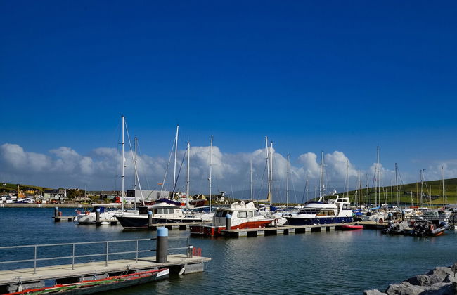 An Searrach Dingle - Foto 1