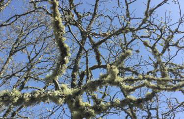 Apartamentos El Capricho - Foto 25