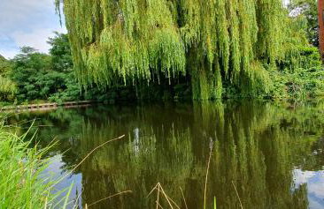 Entire house in Retford city centre - Foto 31