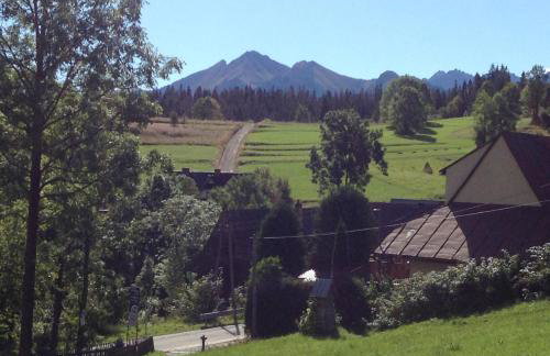 DZIUPLA - Tatra Rustic Log Cabin - Foto 31