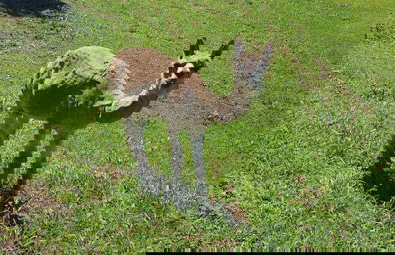 Blue Summit Cottages - Foto 34