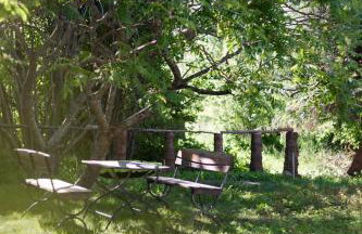 W Sercu Mazur - Foto 35