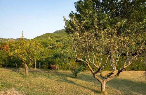 Mas au cœur de la Provence, paradis isolé à l'Etournelle - Photo 31