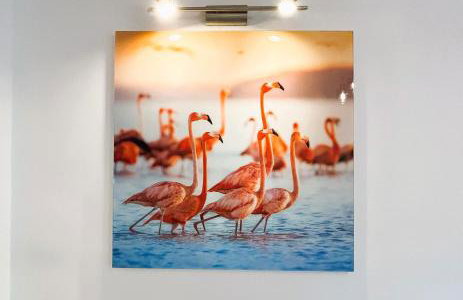 Apartment Silver Star with parking - Photo 17