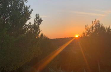 La Valle degli ulivi - Guest house a tre minuti da Otranto - Foto 9