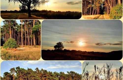 Ferien-und Bauernhof Gauster - Foto 12