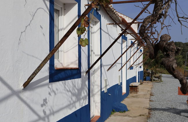 Herdade do Vidigal - Foto 67