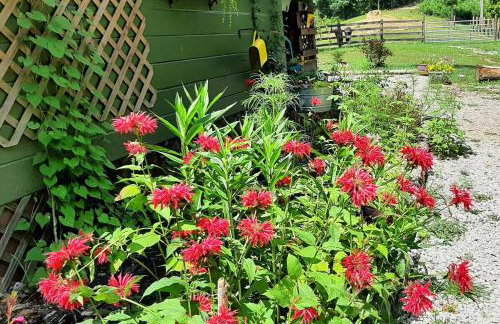 Kettlestone - Foto 42