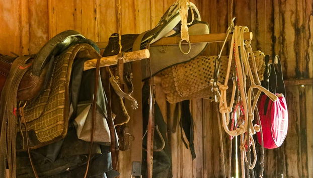 Horseback Riding at the Bonito Fazendas - Foto 2