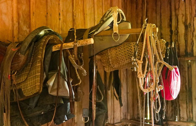 Passeio a cavalo pelas fazendas de Bonito - Foto 7