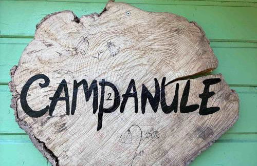 Chalet Campanules 37 - Nature, Randonnée & Famille - FR-1-583-471 - Foto 2