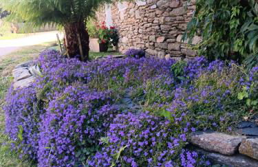 Gite de kernaet avec piscine - Photo 6