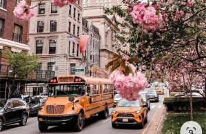 Entire House in West Ny, NJ12 mints from NYCity Time Square - Foto 56