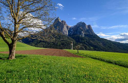 Stube Biohof Oberzonn - Foto 23