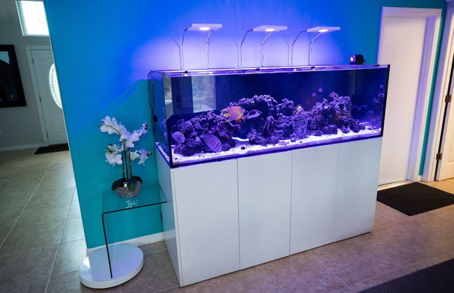 Gorgeous Urban Oasis W/hot Tub, Heated Pool And Private Movie Theater 3 Bedroom Home by RedAwning - Foto 4