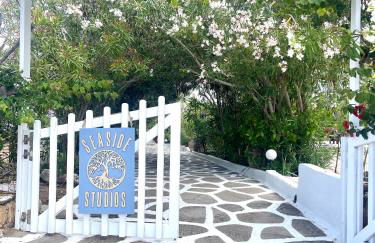 Seaside Studios Arkasa Karpathos - Photo 23