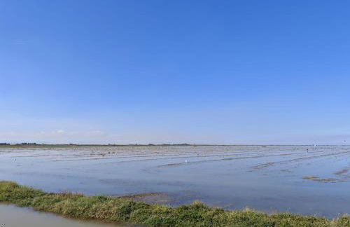 SeaSuites Blue - Casa cerca del mar en Cullera - Foto 31