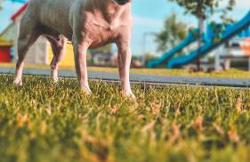 Domki BobolinLove w Bobolinie - Foto 57