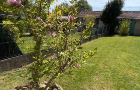 Maison appartement 54m2 - Foto 12