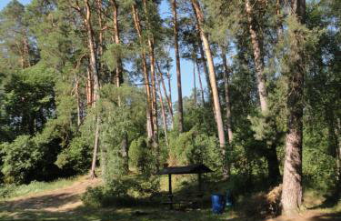 Ośrodek Wypoczynkowy Jaszczurka - Foto 21