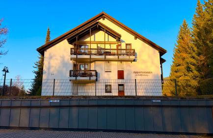 Waldapartments Titisee - Foto 45