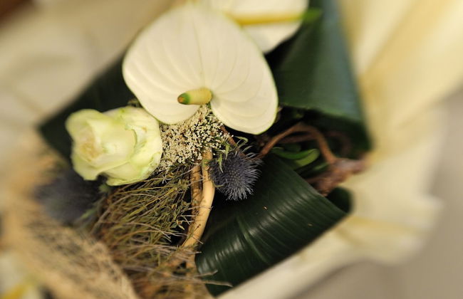 Luxury B&B La Dimora degli Angeli - Foto 7