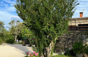 Le Mas du Bueysse - Photo 25