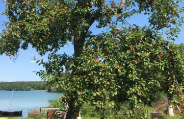 Forsthaus am See Lychen - Photo 7