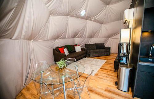 Zen Zion Evergreen Dome - Photo 7