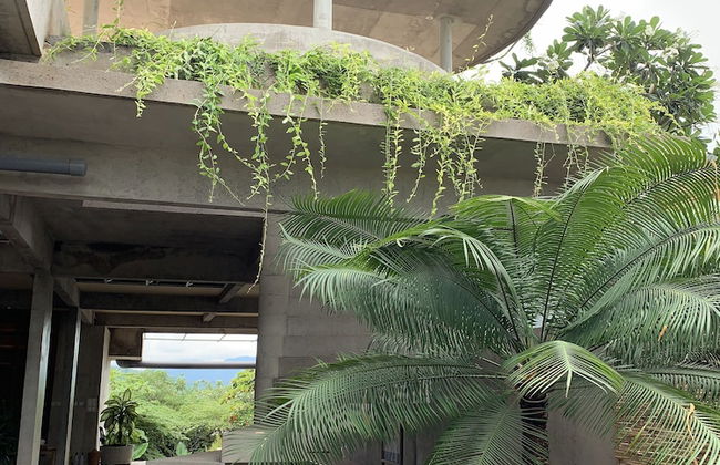 Sumberkima Hill Private Villa Retreat - Photo 3