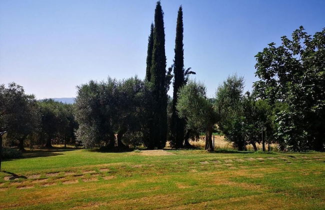 Poggio del Sole - Photo 42