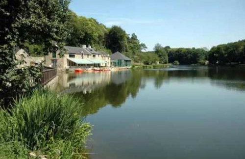 ZEcamping 3 étoiles animaux acceptés piscine et restaurant - Foto 46