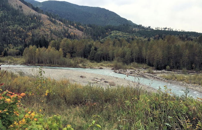 32MBR - BBQ - Pets Ok - Wood Stove - Sleeps 7 - Foto 15